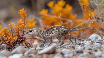 A small lizard navigating through colorful autumn foliage in a rocky terrain photo