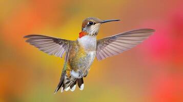 Vibrant hummingbird hovering in a colorful garden, showcasing its iridescent feathers and grace photo