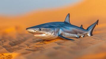 A shark stranded on a sandy beach at sunset, with soft waves in the background photo