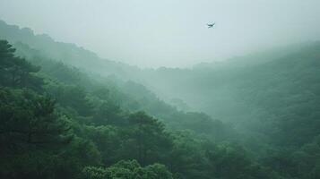 Serene misty landscape with lush green hills and a distant bird soaring in the foggy sky photo