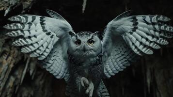 Majestic owl in mid-flight showcasing its expansive wings in a dark cave environment photo