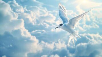 A serene white bird soaring gracefully through a bright blue sky filled with fluffy clouds photo