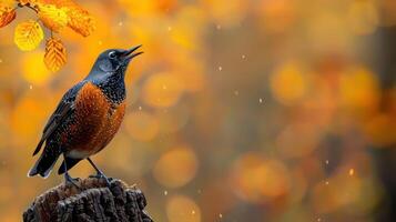 Vibrant bird singing atop a log surrounded by autumn leaves and soft bokeh background photo
