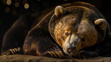 A serene brown bear resting peacefully on a rock in a softly lit environment, surrounded by blurred lights photo