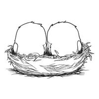 Bird Eggs Nestled in a Simple Nest Illustration vector