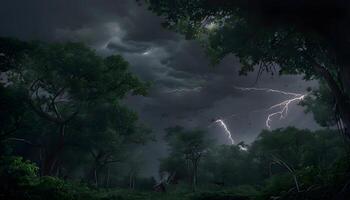 A dark forest with lightning and trees photo