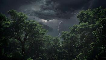 A dark forest with trees and lightning photo