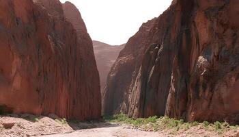 A dirt road in the middle of a canyon photo