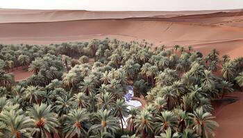 A desert with palm trees and a fountain in the middle photo