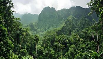 A view of the jungle from a boat photo