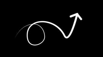 Animation arrows line pointer highlight with alpha channel video