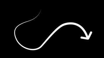 Animation arrows line pointer highlight, sign arrow line With alpha channel video