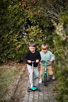 Leaves rustle softly as two little boys race side by side, their energy and laughter echoing through the garden. photo