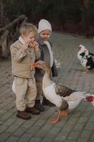 Two boys stand by the water, holding a string of bagels as curious geese waddle closer, eager for a treat. photo