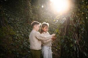 Sunlight filters through the trees as the children gently touch the climbing plants, lost in curiosity and discovery photo