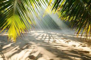 A beach with palm trees and sunbeams photo