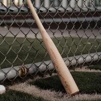 A baseball bat and ball on the grass photo