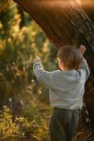 In the quiet forest, a boy reaches out to a spiderweb, fascinated by the way it glows in the soft light. photo