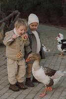 The children laugh as they dangle a thread of bagels, watching the geese stretch their necks to take a bite. photo