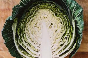 A close up of a head of cabbage photo