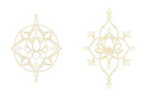 Two different designs of lotus flowers vector