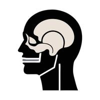 brain of human vector