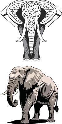 Simple Elephant Illustrations Clipart