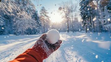 POV of a snowball in a red glove held in snowy forest path. Frosty trees, playful winter perspective photo