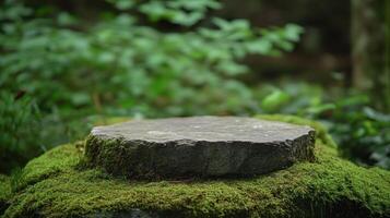 Stone Platform Covered in Moss with a Blurred Green Background photo