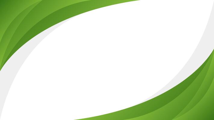 Abstract green curve background. Modern banner template design