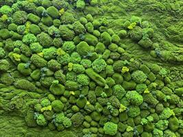 Green moss art, vertical garden wall with greeneries in moss pattern and yellow flower, arranged and designed in different shapes, contour, and pattern. Seamless green wall moss background texture. photo
