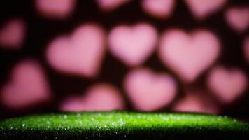 Background With Grass And Hearts For Valentines Day Copy Space video