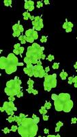 Shamrocks Rising Up For Saint Patrick Day Background video