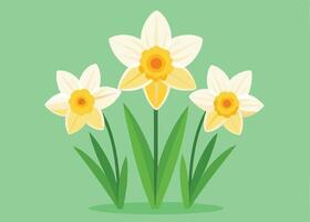 Spring daffodils blooming in light for festive decor vector