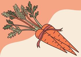 Fresh carrot bunch tied with ribbon for a festive display vector