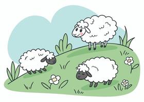 Cute fluffy sheep grazing peacefully on green meadow vector