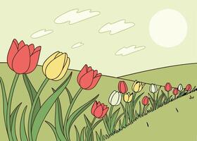 Endless tulip field bathed in gentle spring sunlight vector
