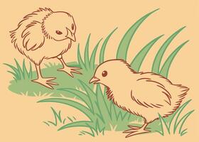 Pair of playful baby chicks in spring grass for Easter vector