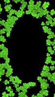 Clovers Tunnel On Vertical For Saint Patrick Day video