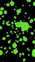 Shamrock Falling Down For Saint Patrick Day Background video