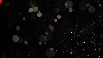 Real Particles Floating On Black Background video