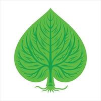 A green leaf with roots on it vector