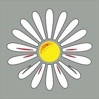 A daisy with a yellow center and red stripes vector