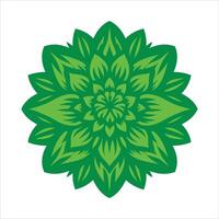 Intricate Green Mandala Flower with Symmetrical Leaf Pattern in Decorative Abstract Design on White Background vector