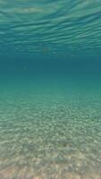 underwater view of the ocean floor with clear water video