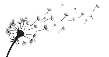Field Dandelion seeds in flight. vector