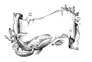 Paper banner scroll, in marine theme with underwater animals, whale, corals, fish and bubbles. Graphic illustration hand drawn in black ink. Template, frame, board EPS vector