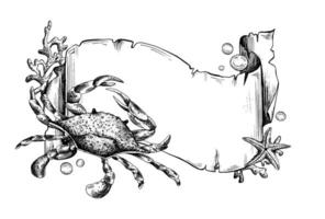 Paper banner scroll, in marine theme with underwater animals, crab, corals, starfish and bubbles. Graphic illustration hand drawn in black ink. Template, frame, board EPS vector