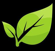 Leaf illustration representing nature and growth in a minimalist design on a black background logo vector