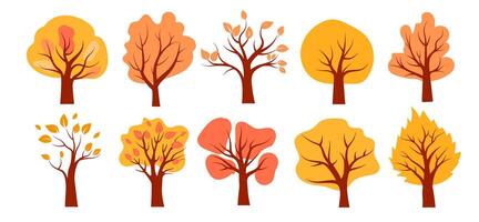 illustration of autumn trees showcasing vibrant foliage in a variety of shapes and sizes vector